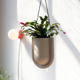 Beige curved hanging planter with green foliage and pink buds, suspended by black cords against a sunlit white wall and a red wall fixture in the background.