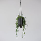 Black hanging planter with a smooth, rounded design holding green trailing plants, suspended by three thin black cords against a plain light gray background.