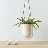Cream-colored U-shaped hanging planter with multiple elongated green succulent stems, suspended by thin black cords above a light wood surface with two small broken white ceramic pieces.
