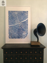 Framed blue print of a locust tree ring showing detailed concentric growth rings, displayed on a dark wooden cabinet next to a vintage gramophone with a black horn and wooden base.
