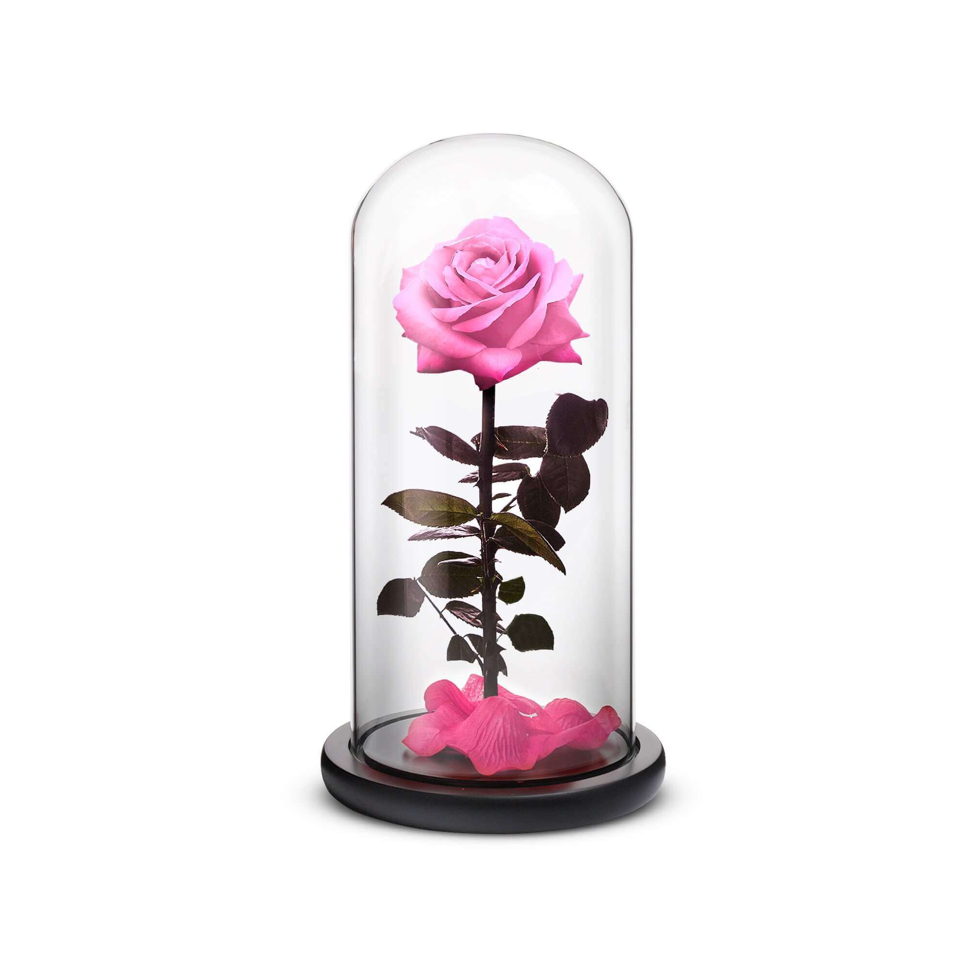 Everlasting Rose (Pink) by ROSEPHORIA - main product image for Resin Society