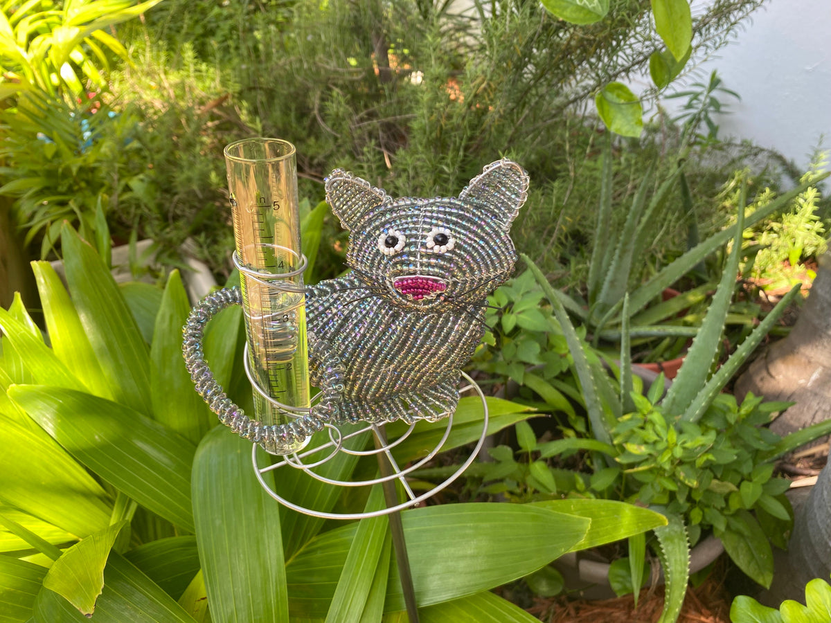Cat Rain Gauge