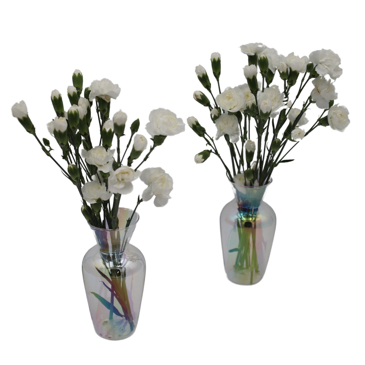 Rainbow Prism Vase - Pair by Ro'Table - product image 2 for Resin Society
