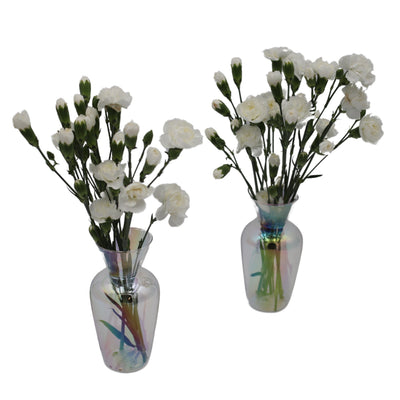 Rainbow Prism Vase - Pair by Ro'Table - product image 2 for Resin Society
