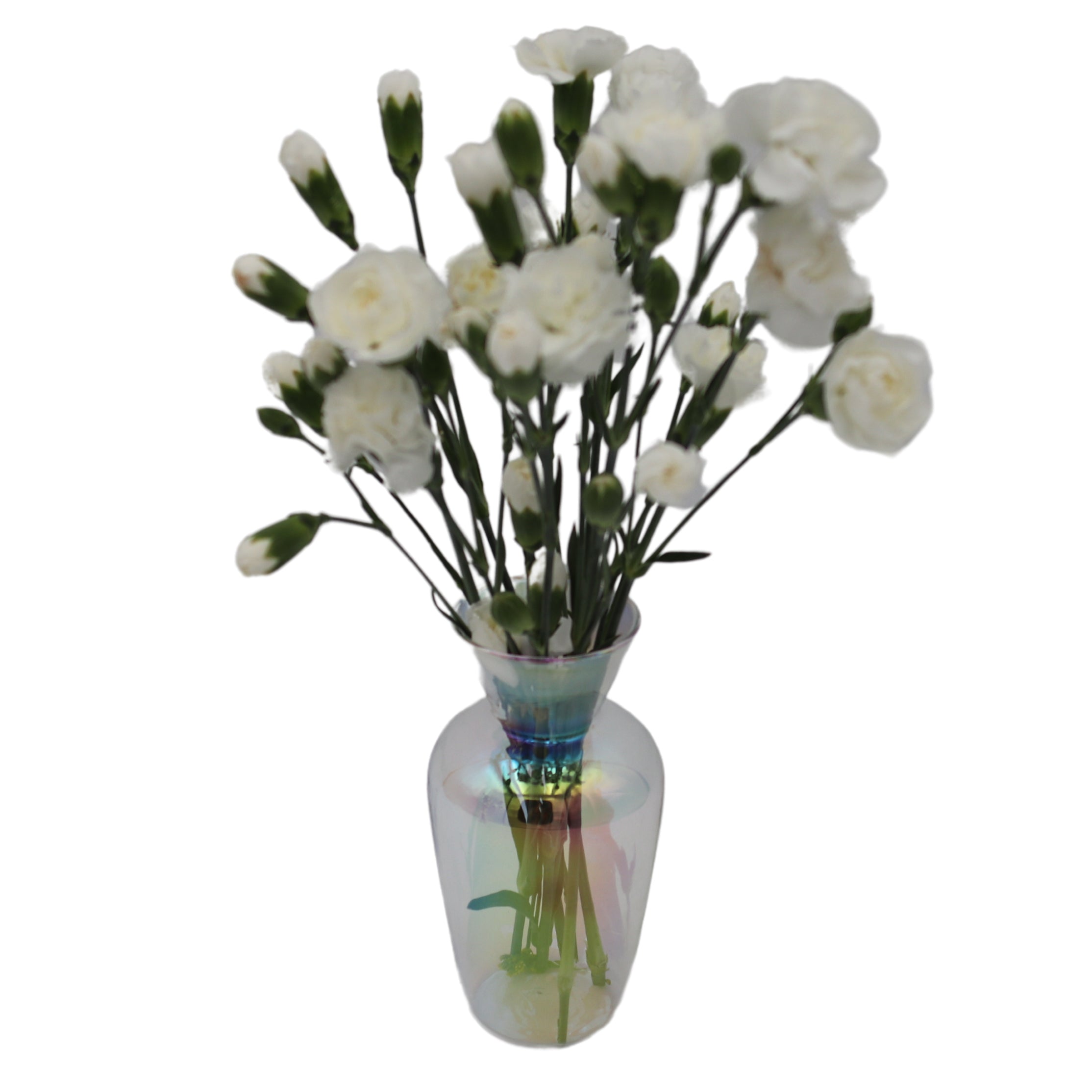 Rainbow Prism Vase - Pair by Ro'Table - product image 3 for Resin Society