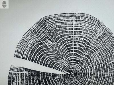 Red Oak Tree Ring Print – Spartanburg County, SC – 18x24 Original Signed Woodcut