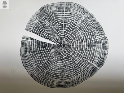 Red Oak Tree Ring Print – Spartanburg County, SC – 18x24 Original Signed Woodcut