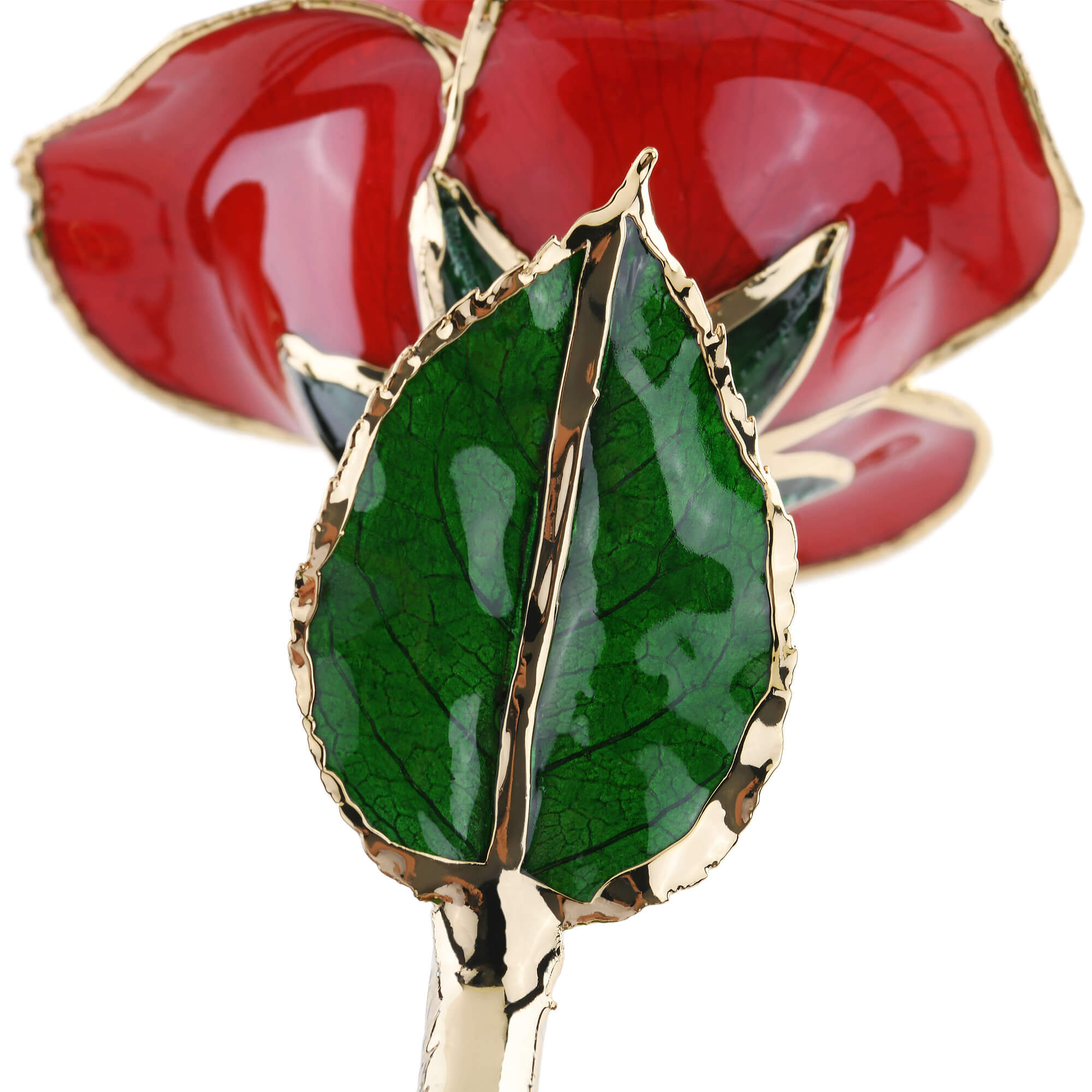 Timeless Rose (Red) by ROSEPHORIA - product image 5 for Resin Society