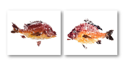 Red Fish Set by John Beard Collection - main product image for Resin Society