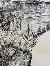 Redwood Tree, Tree Ring Print, California Coast, Wood Slice Wall Art by lintonart - product image 5 for Resin Society