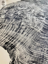 Redwood Tree, Tree Ring Print, California Coast, Wood Slice Wall Art by lintonart - product image 6 for Resin Society