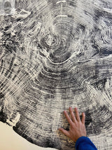 Redwood Tree, Tree Ring Print, California Coast, Wood Slice Wall Art by lintonart - product image 7 for Resin Society