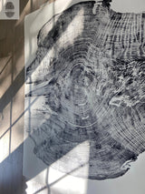Redwood Tree, Tree Ring Print, California Coast, Wood Slice Wall Art by lintonart - product image 8 for Resin Society