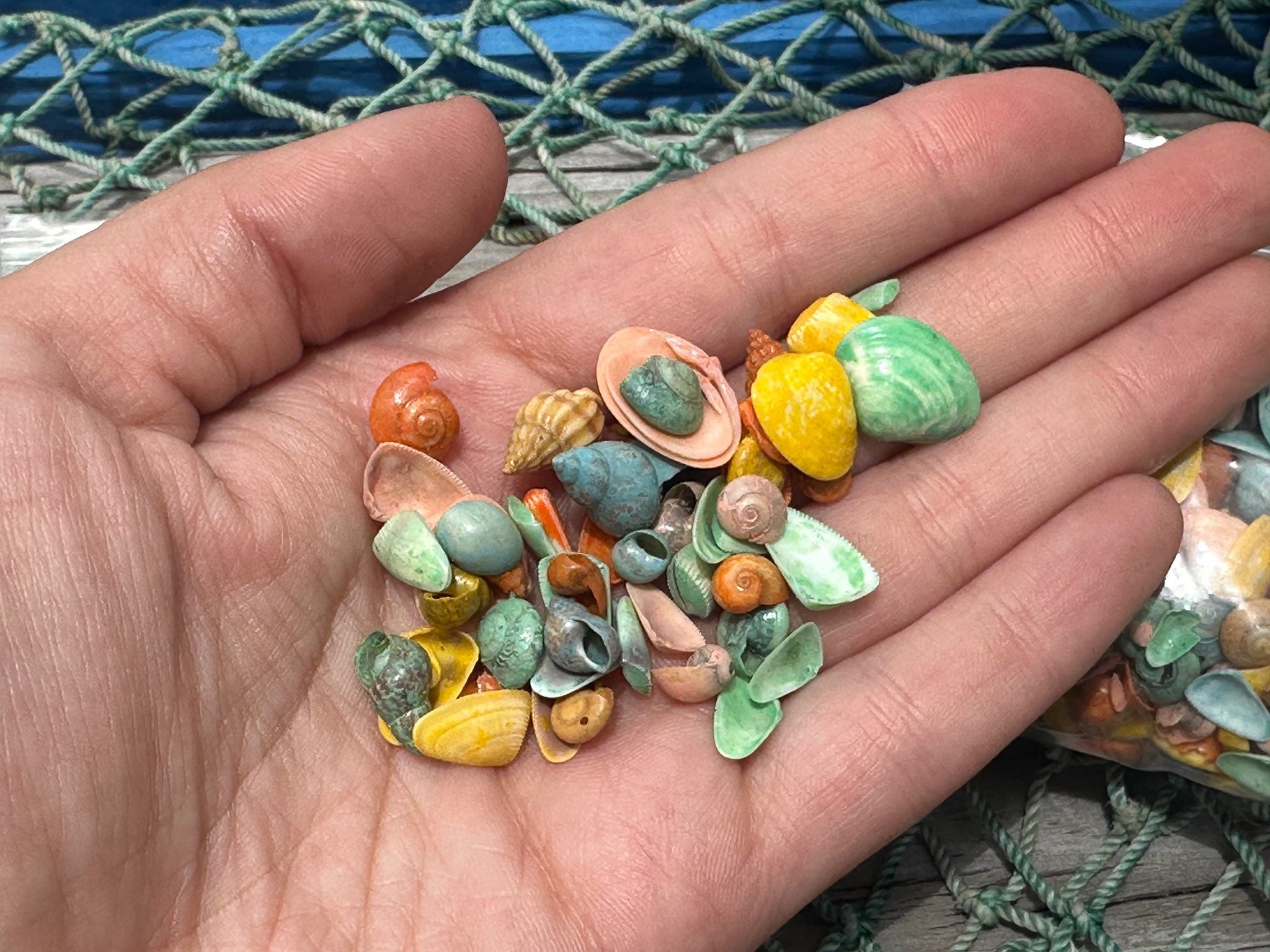 Bulk pastel dyed craft shells in retro colors for DIY and wedding decor projects