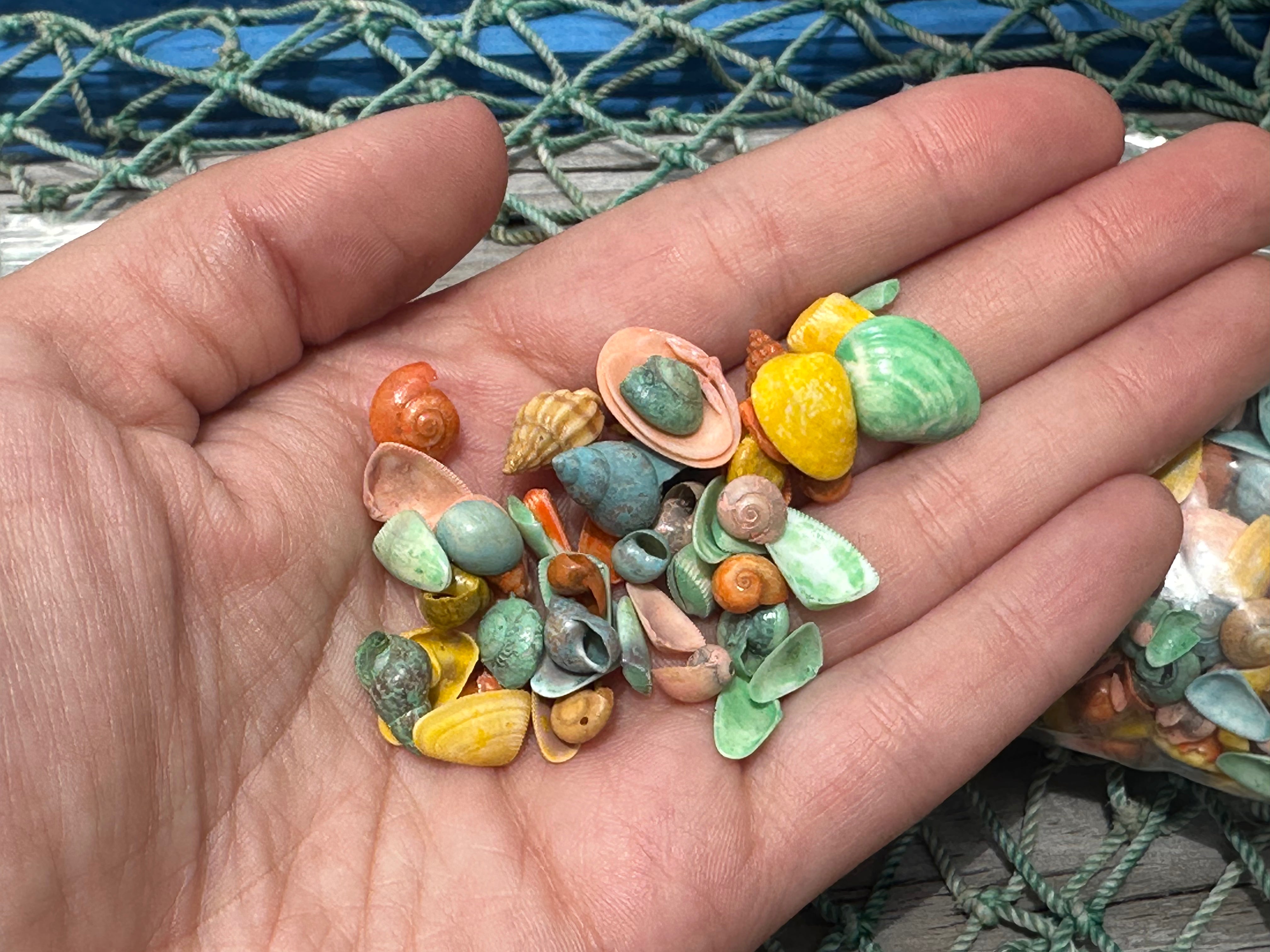 Bulk pastel dyed craft shells in retro colors for DIY and wedding decor projects