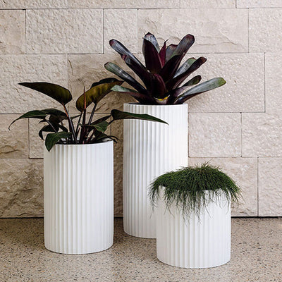 Ribbed Loob Planter by The Balcony Garden US