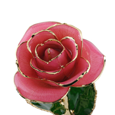 Timeless Rose (Rich Pink) by ROSEPHORIA