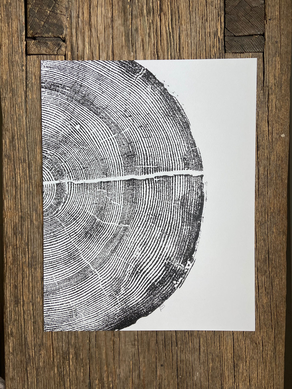 Black ink print of a pine tree cross-section showing detailed growth rings and a horizontal crack, on white paper placed on rustic wooden surface.