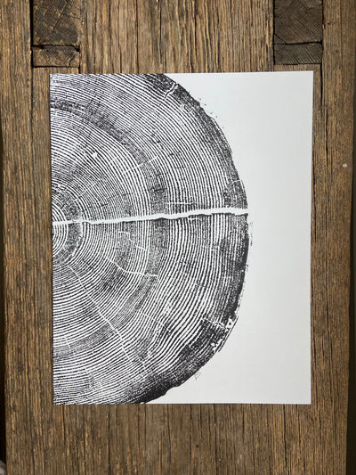 Rock Canyon Pine, Cropped, Limited Edition 11x14 inches. Hand pressed and signed.