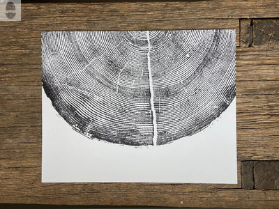 Rock Canyon Pine, Cropped, Limited Edition 11x14 inches. Hand pressed and signed.