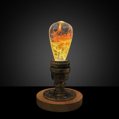 EP Light Solar Corona Resin LED Bulb with wooden base showing unique resin design