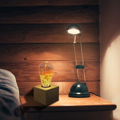 EP Light Solar Corona Resin LED Bulb with wooden base showing unique resin design