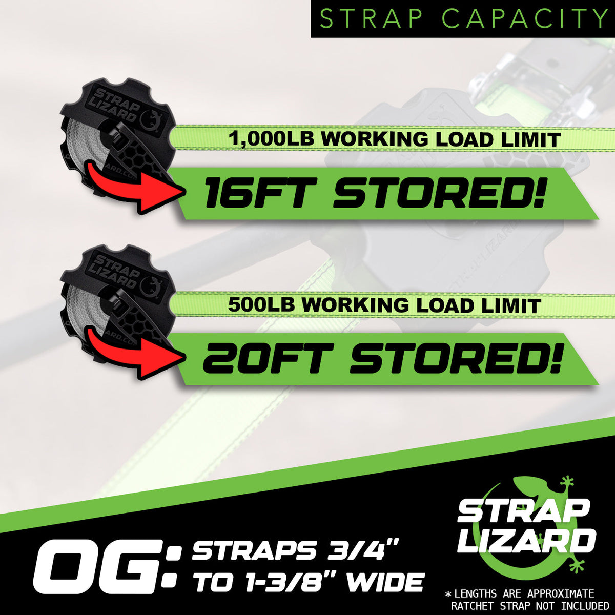 Strap Lizard OG