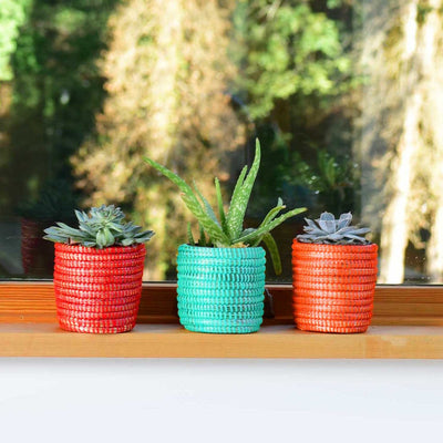 Succulent Basket Planter by Mbare Ltd - product image 4 for Resin Society