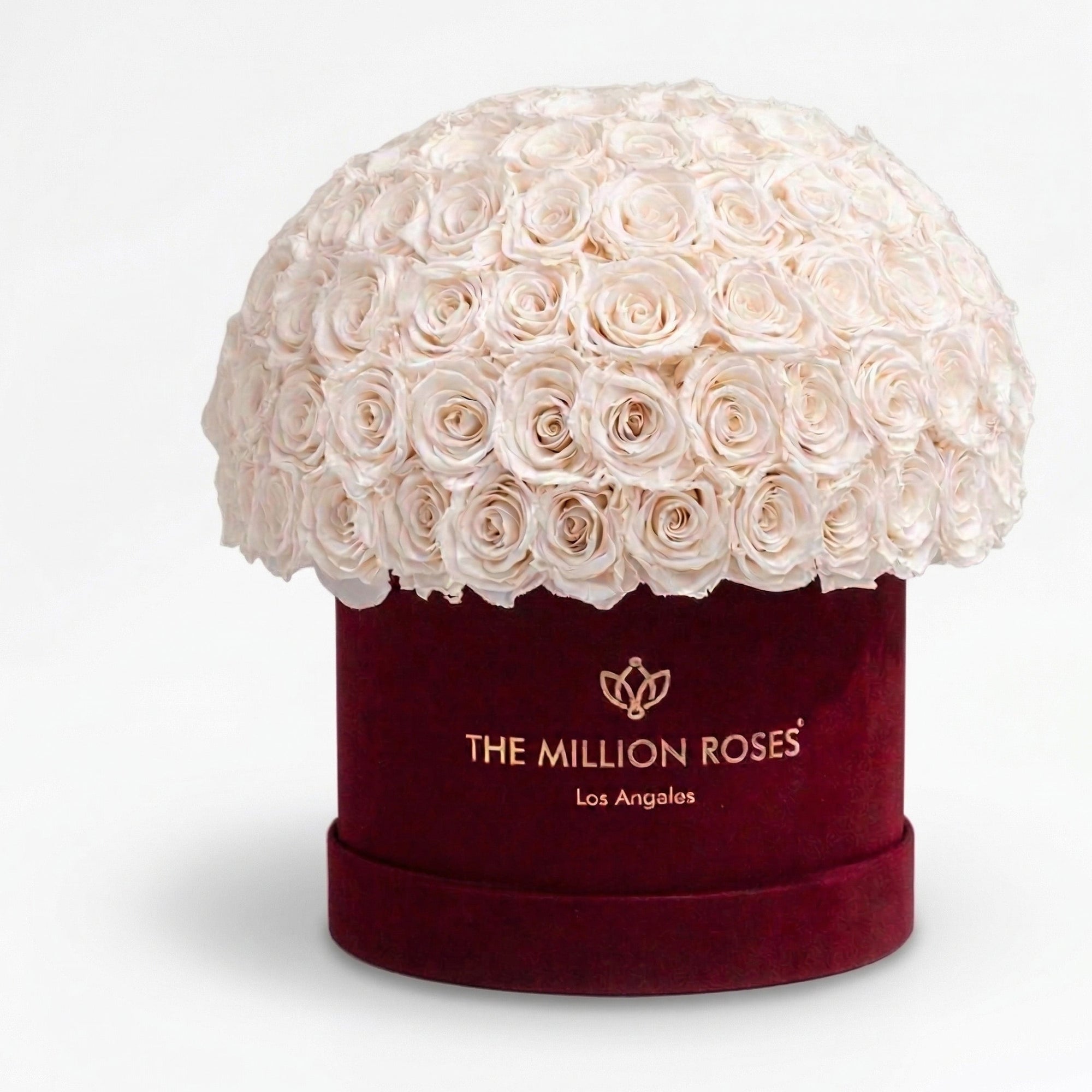 Supreme Bordeaux Suede Superdome Box by The Million Roses - main product image for Resin Society