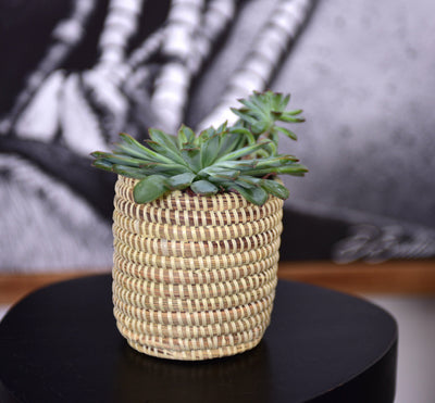 Succulent Basket Planter by Mbare Ltd - product image 7 for Resin Society