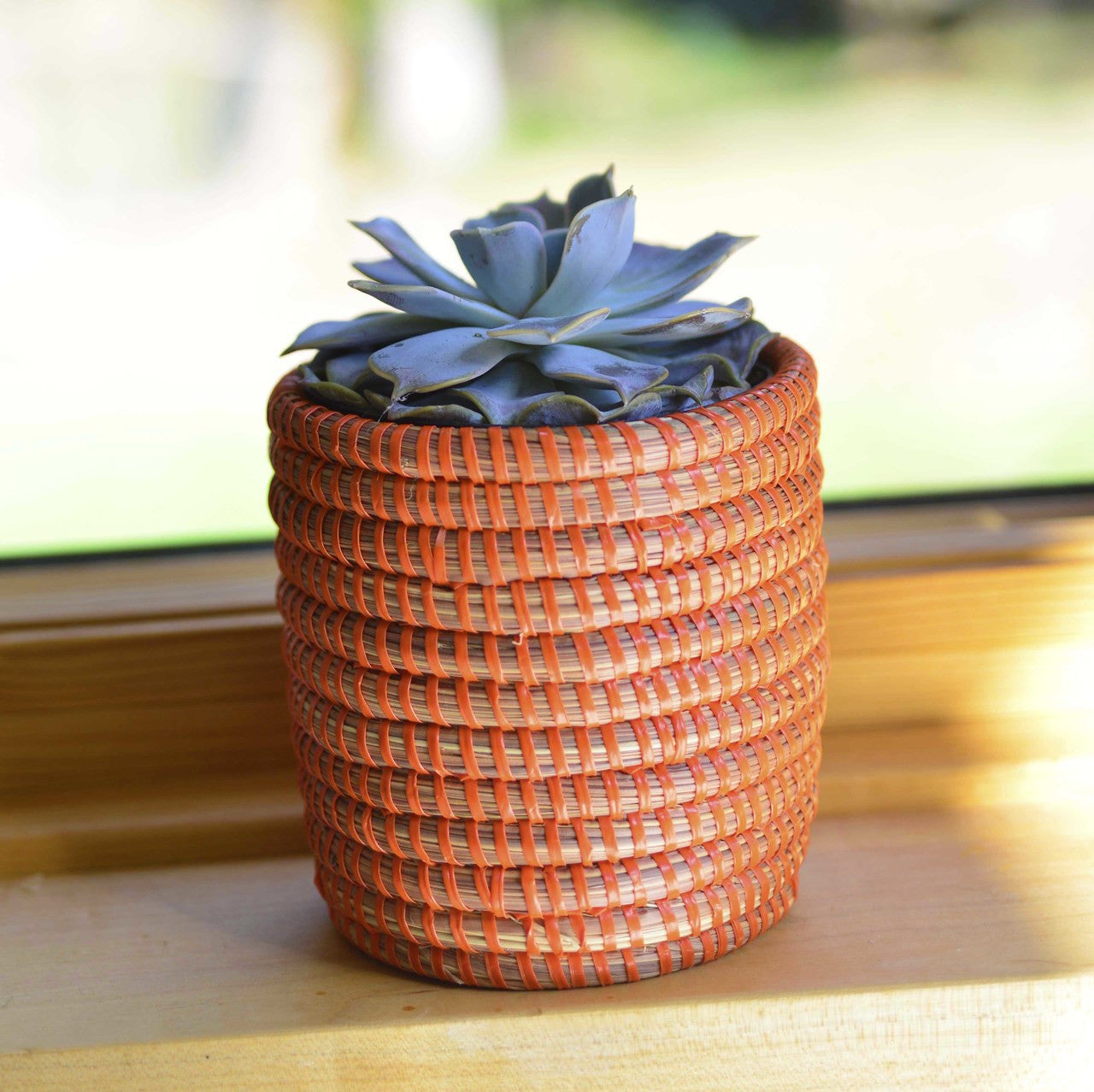 Succulent Basket Planter by Mbare Ltd - product image 6 for Resin Society