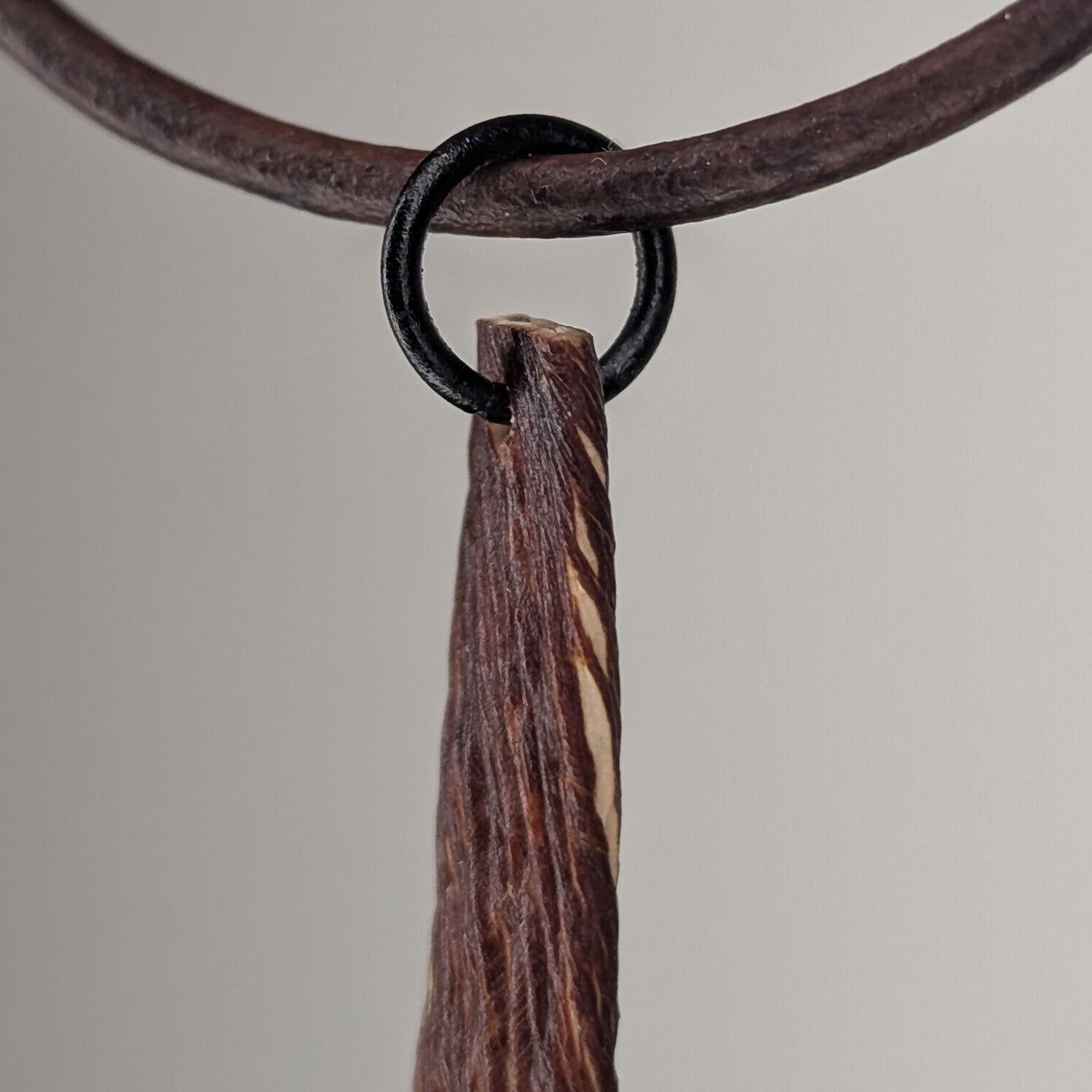 Saccharionyx Necklace by Versiliy