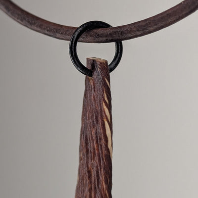Saccharionyx Necklace by Versiliy
