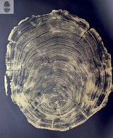 San Francisco Redwood Gold and Black 36x48 Inches Original Signed Artwork made from Real Redwood by lintonart