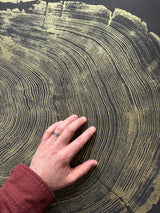 Close-up of hand touching detailed gold and black cross-section of redwood tree rings on a flat surface, revealing fine concentric growth patterns.