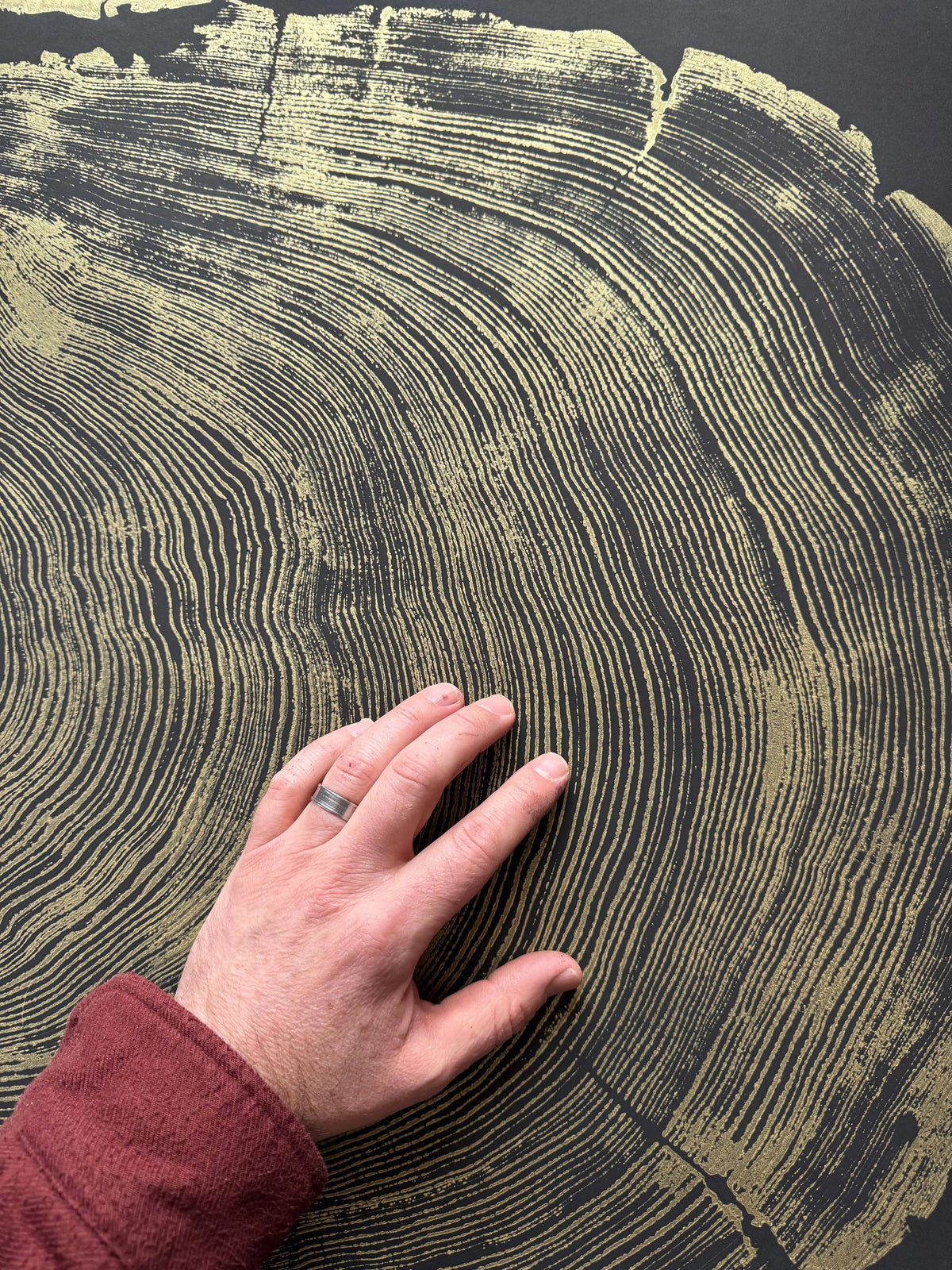 Close-up of hand touching detailed gold and black cross-section of redwood tree rings on a flat surface, revealing fine concentric growth patterns.