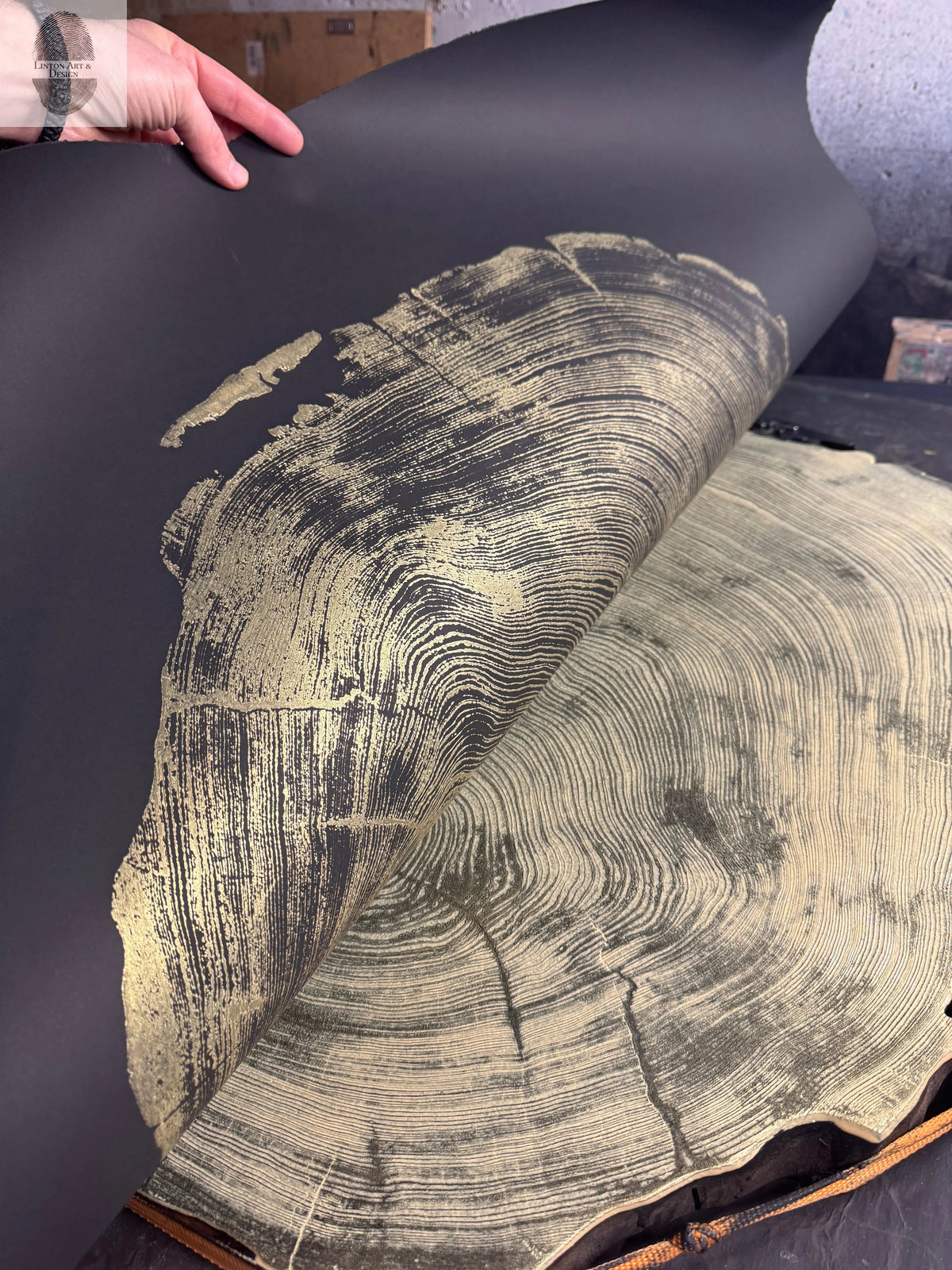 Hand lifting black sheet with gold wood grain print revealing natural beige wood cross-section with growth rings underneath, showcasing contrast between metallic and organic textures.