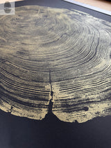 Close-up of circular tree ring pattern in gold on a black rectangular surface, showing intricate wood grain details and texture from a redwood cross-section.