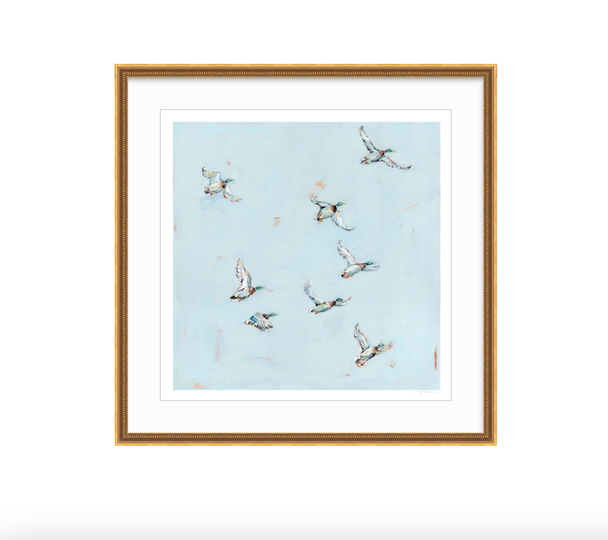 Free Flying Ducks Fine Art Print