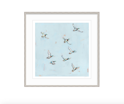 Free Flying Ducks Fine Art Print