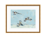 Chelsea McShane Art's Pheasantly Surpised Pheasant fine art print showing a detailed pheasant with rich colors