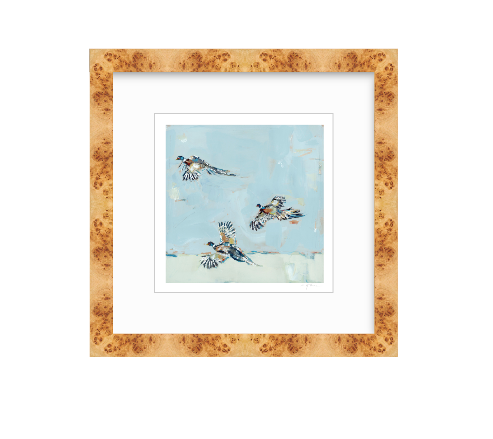 Pheasantly Surpised Pheasant Fine Art Print