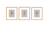 On Pointe Ballerinas Fine Art Prints