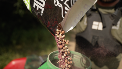 BIG TINE PEAS & TUBERS
