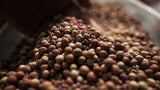 Close-up of a mixed pile of round peas and tubers in shades of beige, pink, and purple under warm light, filling a container partially visible on the right.