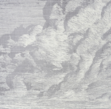 Textured fabric in fog grey with a toile pattern depicting clouds and sky using fine white and grey lines.
