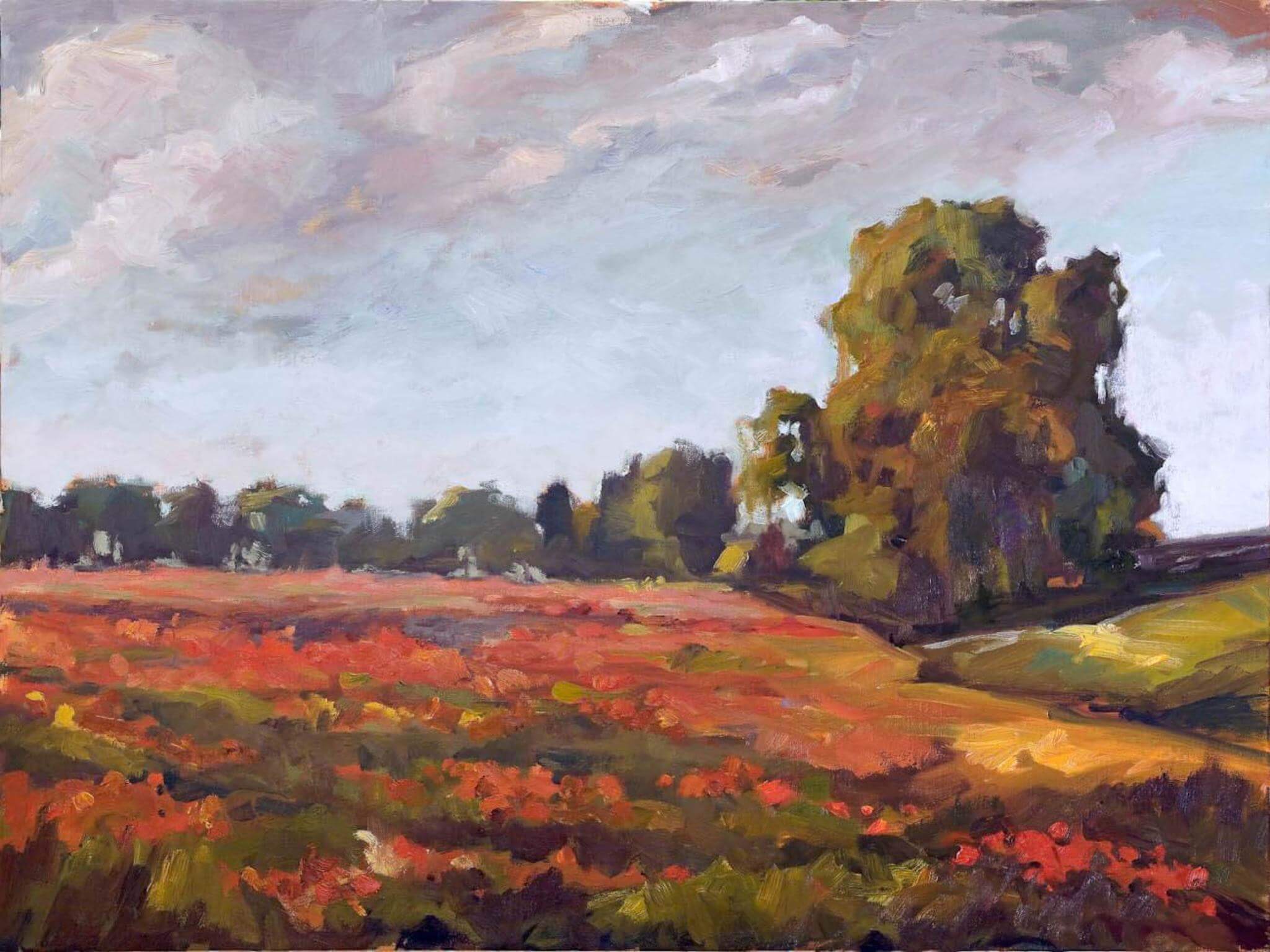 Sea of Poppies Artist Enhanced Canvas Print by John Beard Collection - main product image for Resin Society