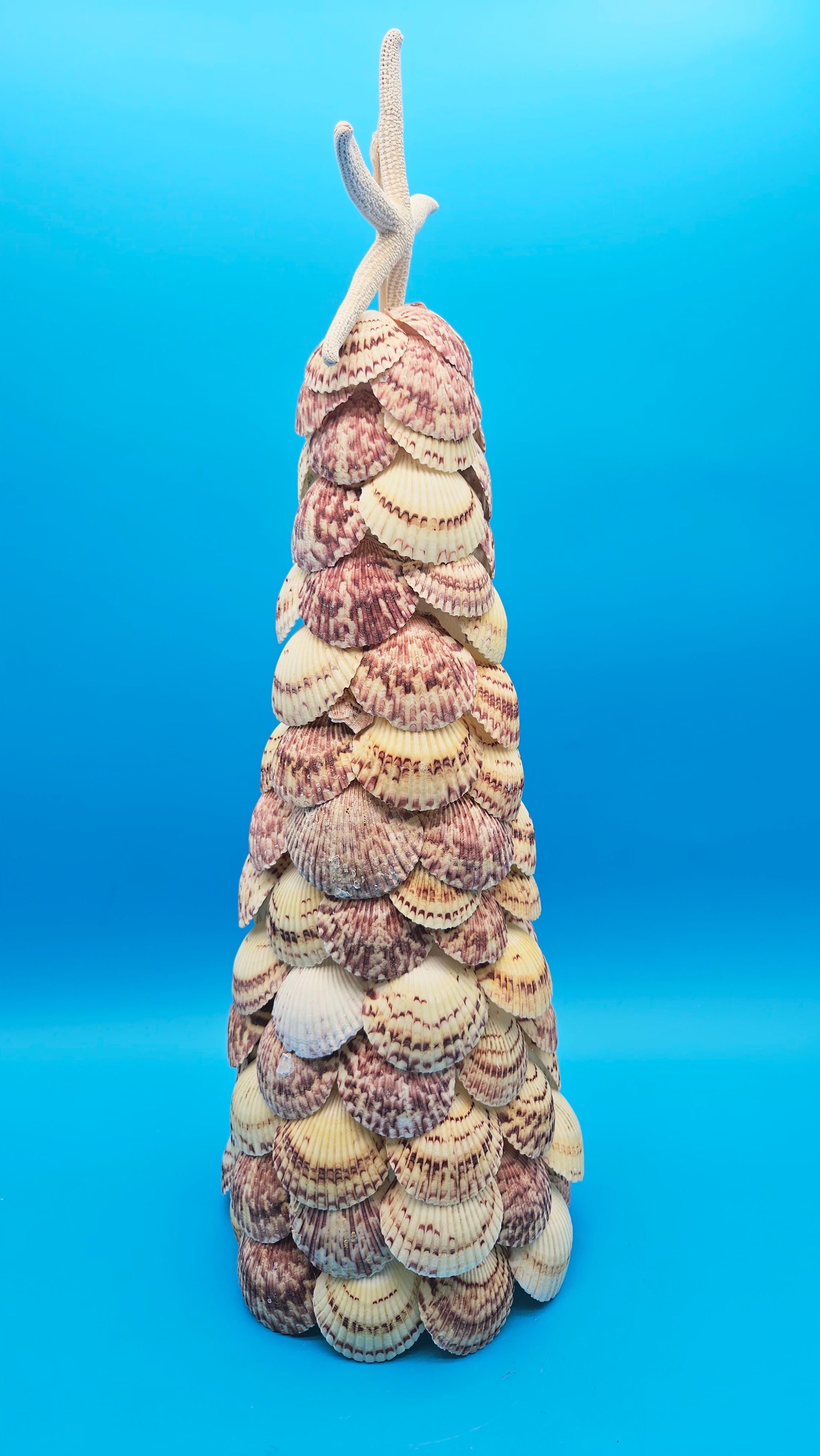 Handmade 18.75 inch scallop shell Christmas tree with natural starfish topper on blue background