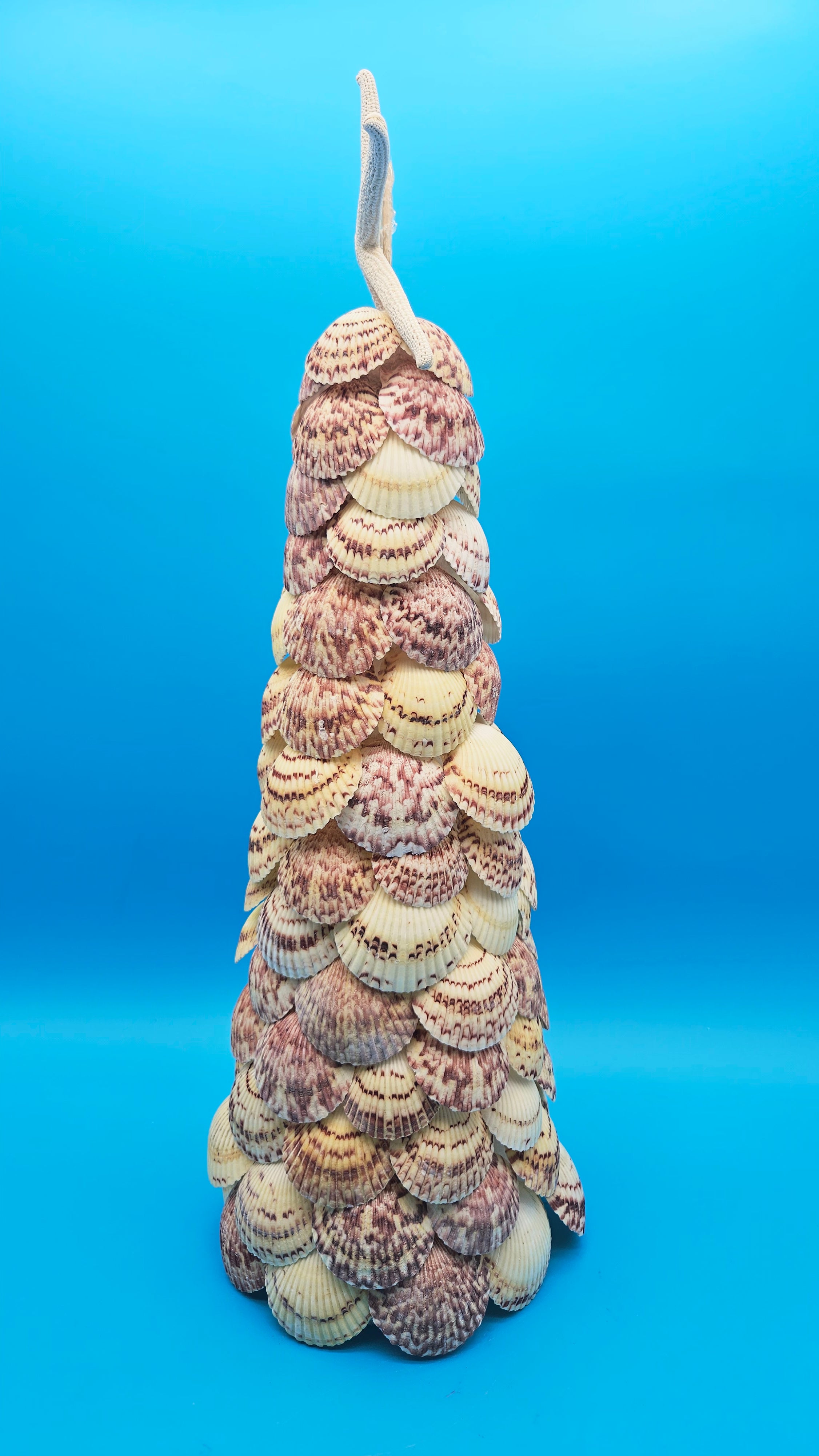 Handmade 18.75 inch scallop shell Christmas tree with natural starfish topper on blue background