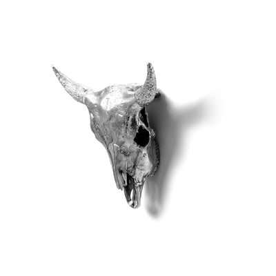 Wunderkammer Bison Skull by DEKOR - product image 2 for Resin Society